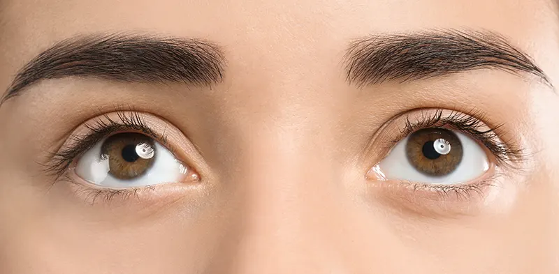 frau-augen-augenbrauen-augenwimpern-unbehandelt
